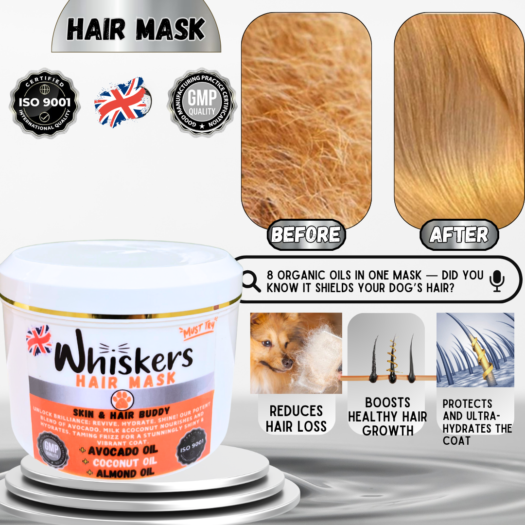Whiskers Pet Hair Mask – Mango Panna Cota for Dogs & Cats