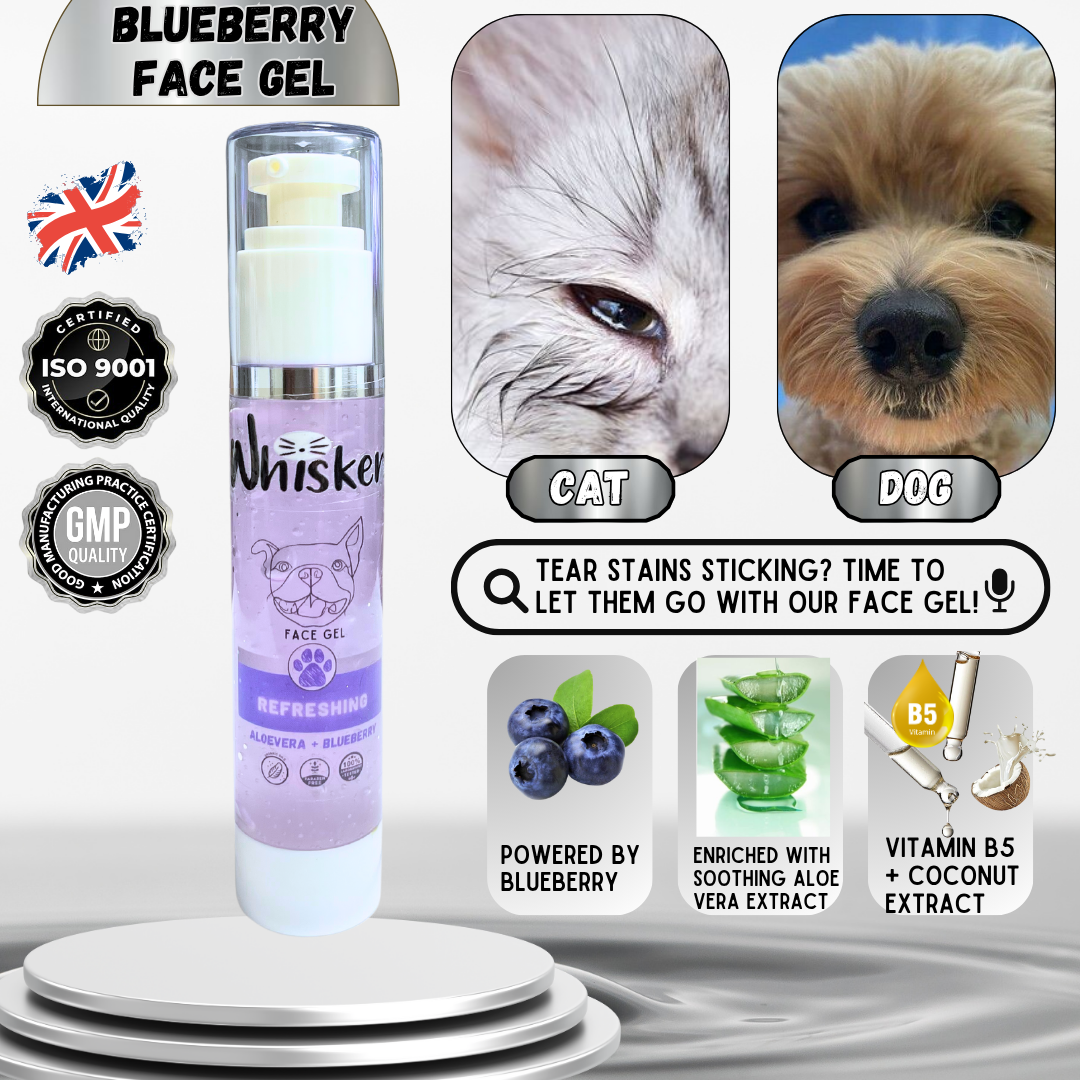 Whiskers Face Gel – Blueberry for Dogs & Cats