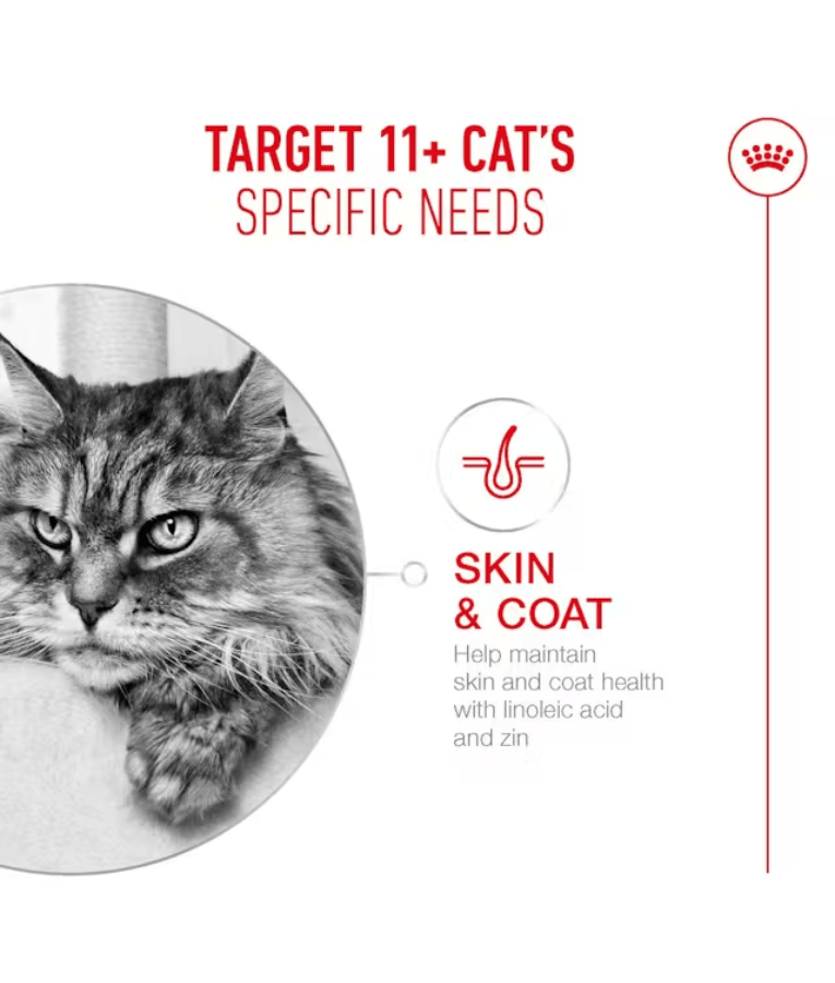 Royal Canin - Cat Ageing 11+ - 2kg