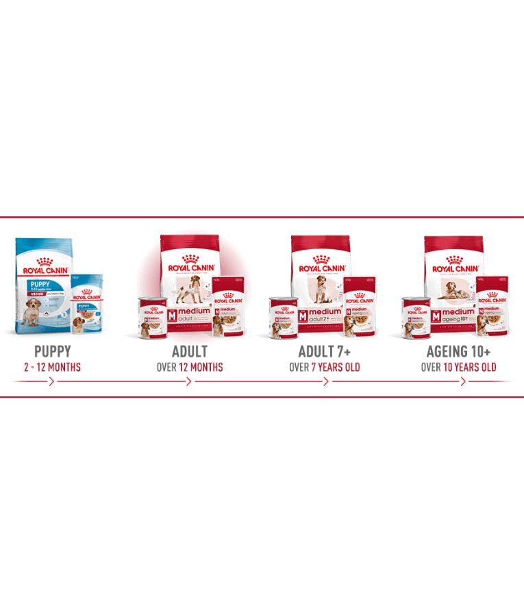 Royal Canin - Medium Breed Adult Loaf - Wet Food for Dogs 410g