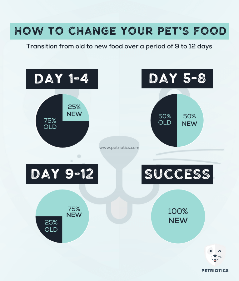 Prochoice - Pro 34 Salmon & Rice For Adult Cats 2kg-15kg