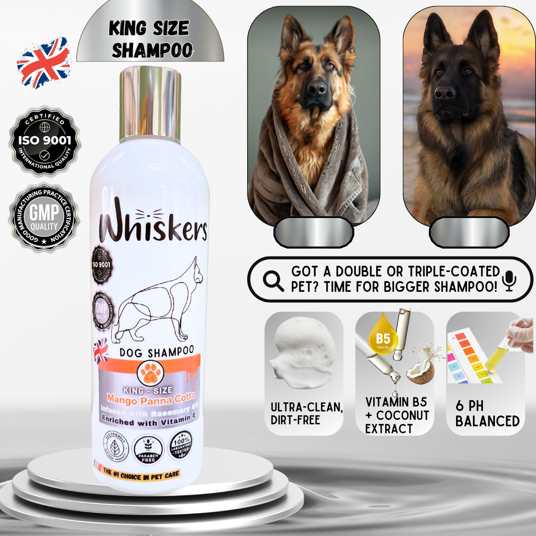 Whiskers King Size Pet Shampoo - Mango Panna Cota for Dogs & Cats