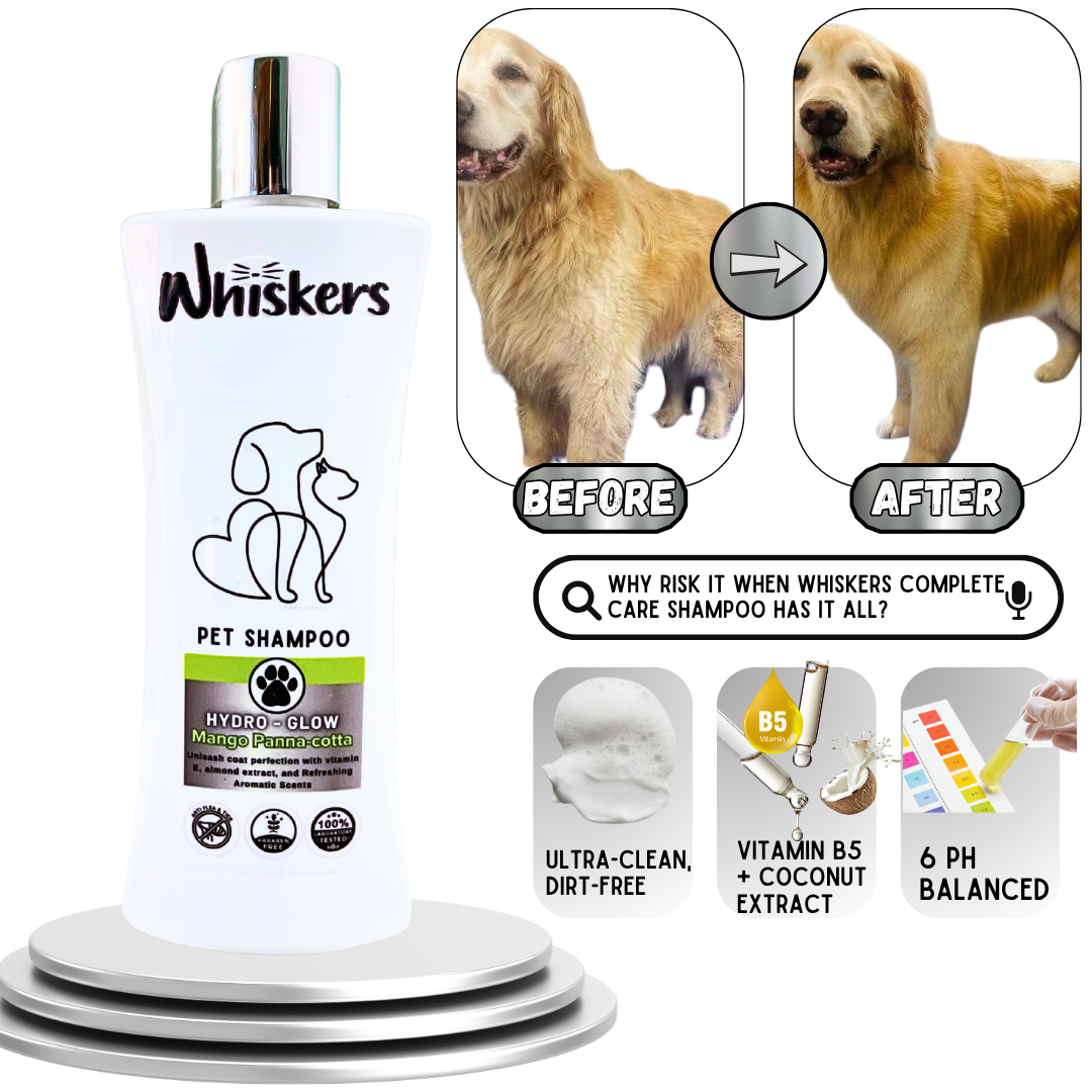 Whiskers Pet Shampoo – Mango Panna Cotta for Dogs & Cats