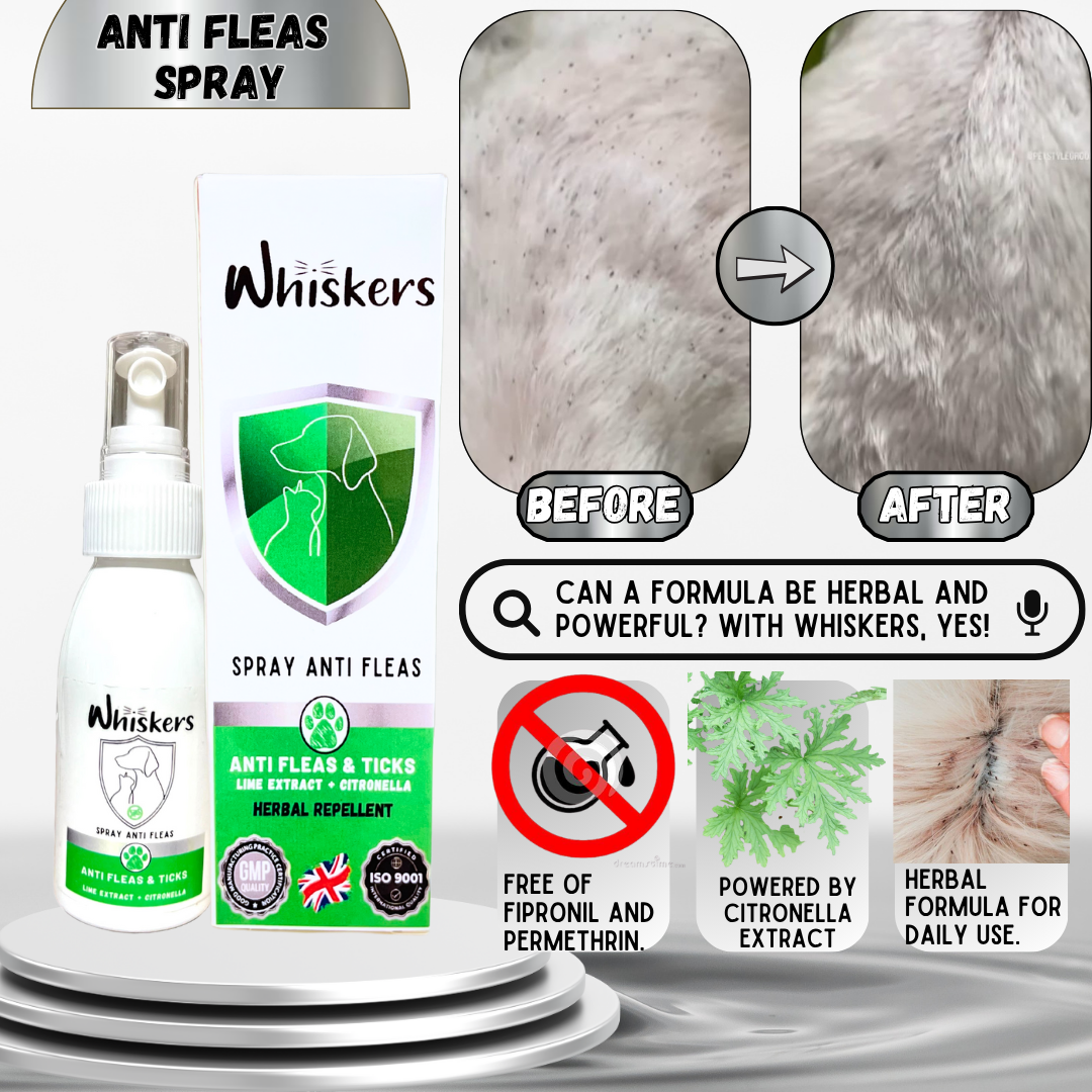 Whiskers Herbal Anti Fleas Spray for Dogs & Cats