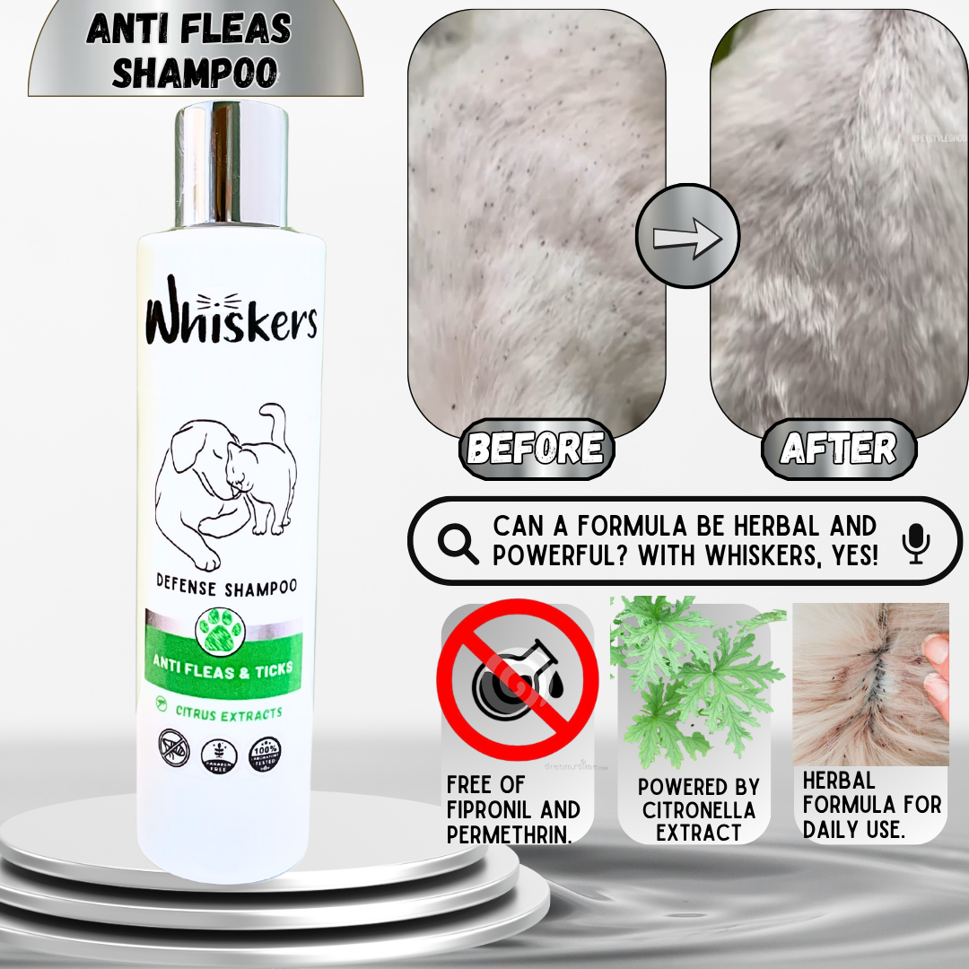 Whiskers Anti Fleas & Ticks Shampoo for Dogs & Cats