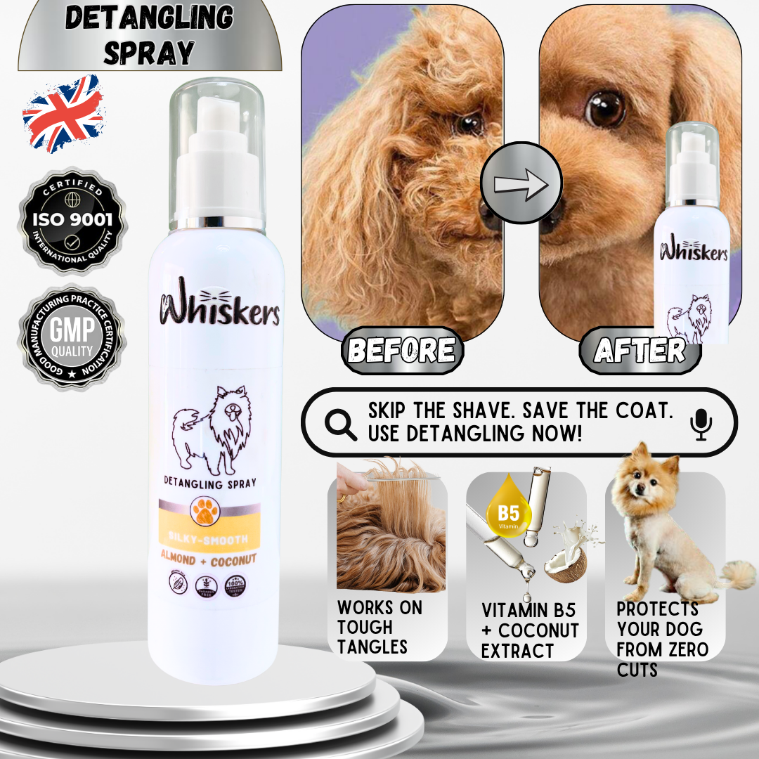 Whiskers Detangling Coconut Spray for Dogs & Cats