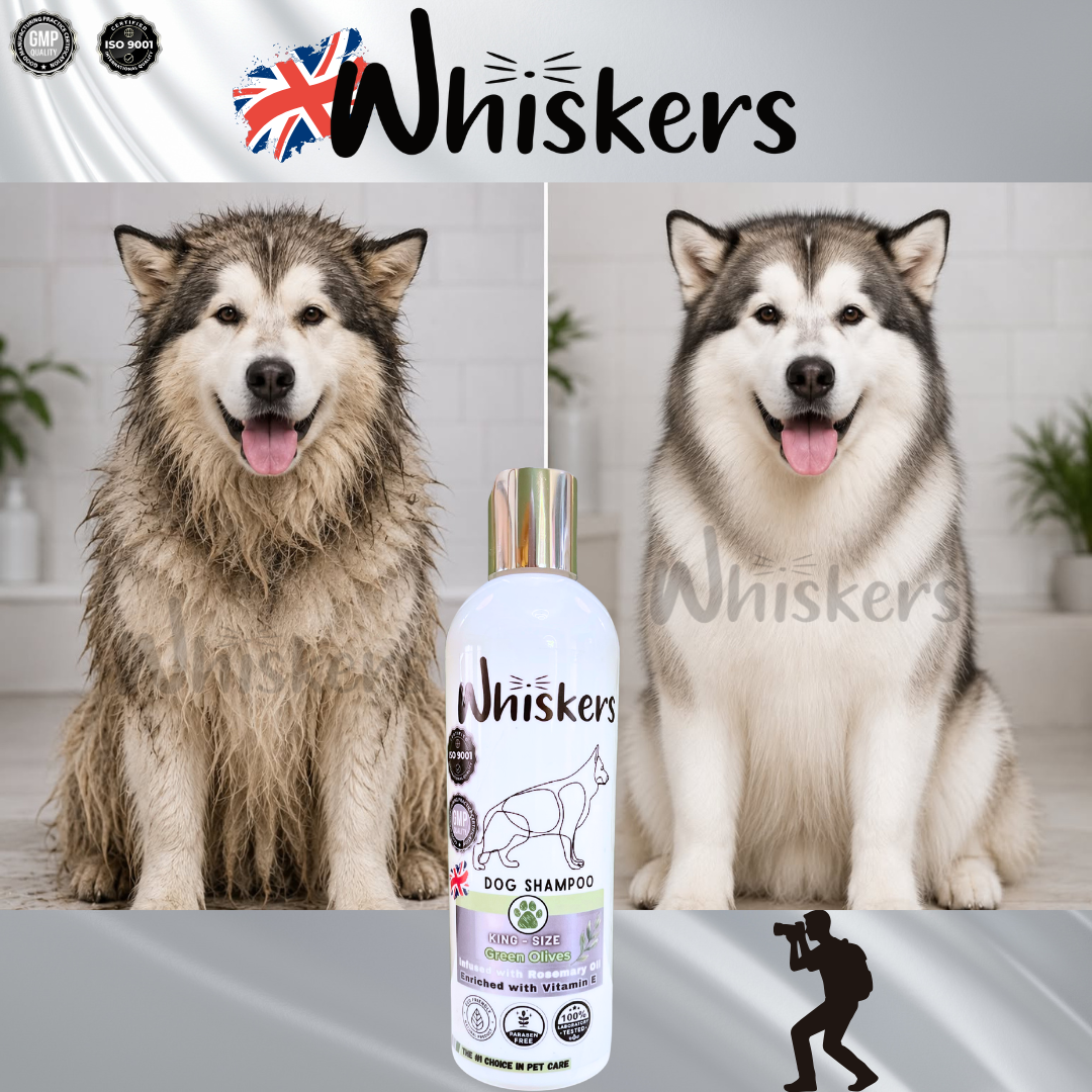 Whiskers King Size Pet Shampoo - Green Olives for Dogs & Cats