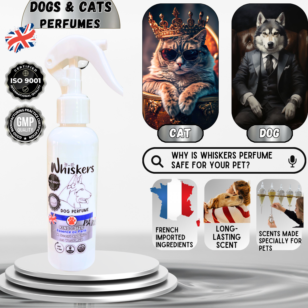 Whiskers King Size Perfume – Paris Scent for Dogs & Cats