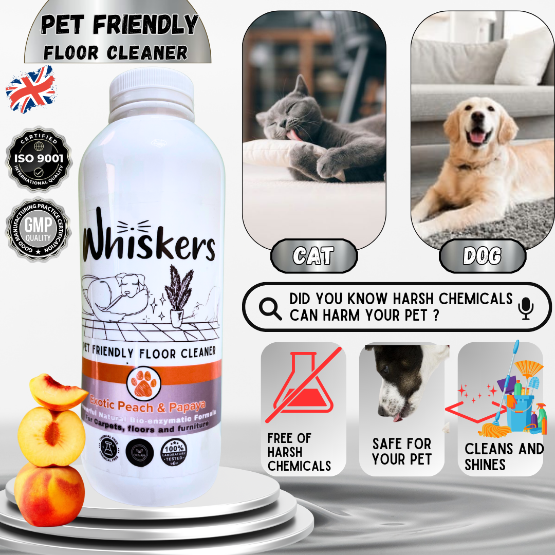 Whiskers Pet Friendly Floor Cleaner – Exotic Peach & Papaya for Homes with Dogs & Cats