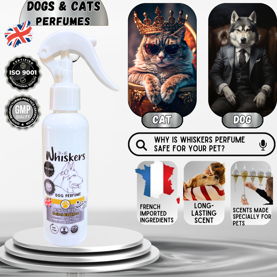 Whiskers King Size Perfume – Beirut Scent for Dogs & Cats