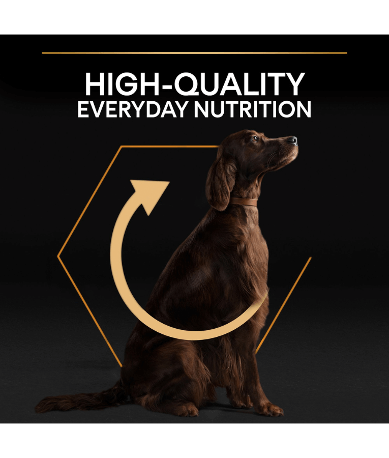 Purina - Pro Plan, Everyday Nutrition Large Athletic Adult Dry Dog food with Chicken 14 kg