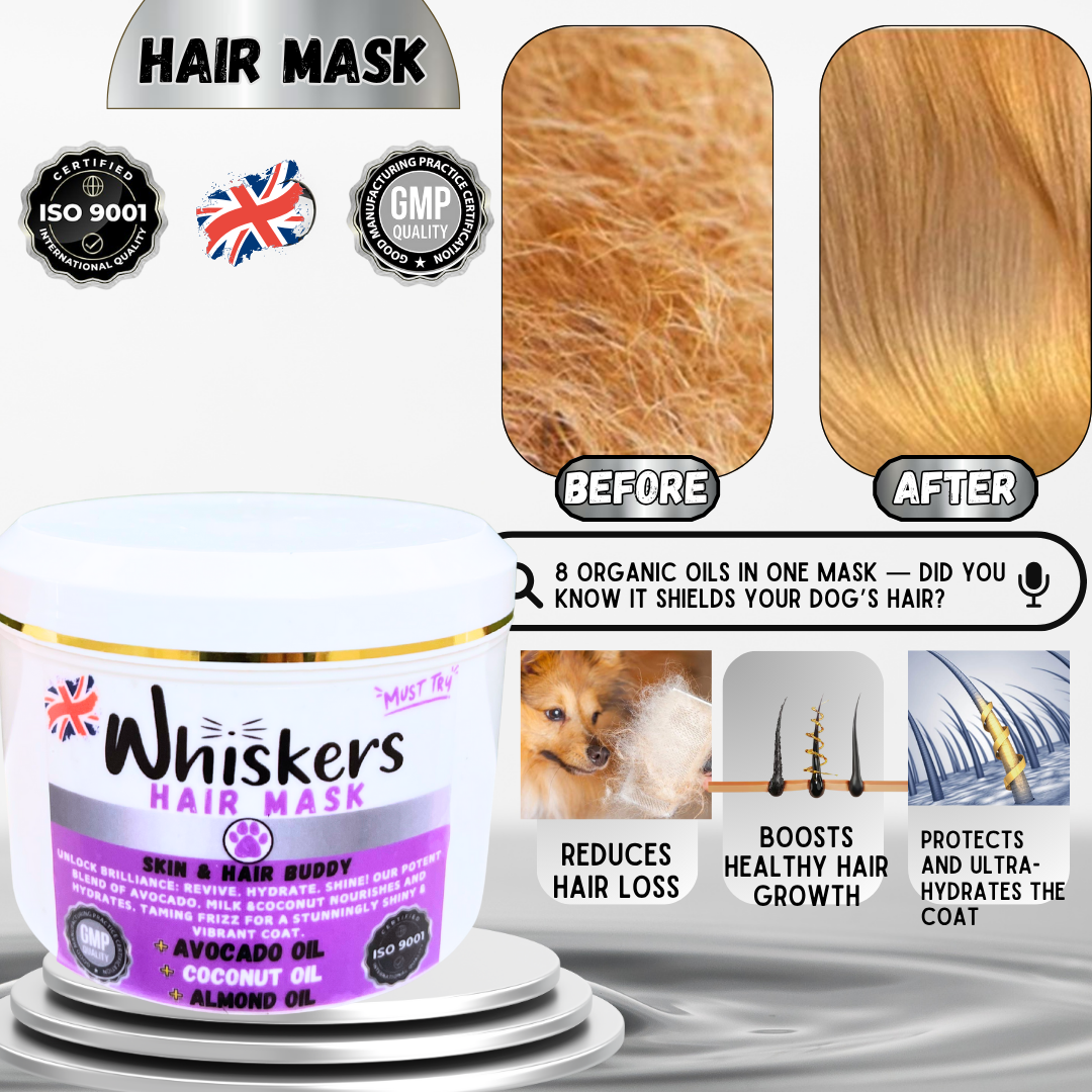 Whiskers Pet Hair Mask – Avocado & Milk for Dogs & Cats
