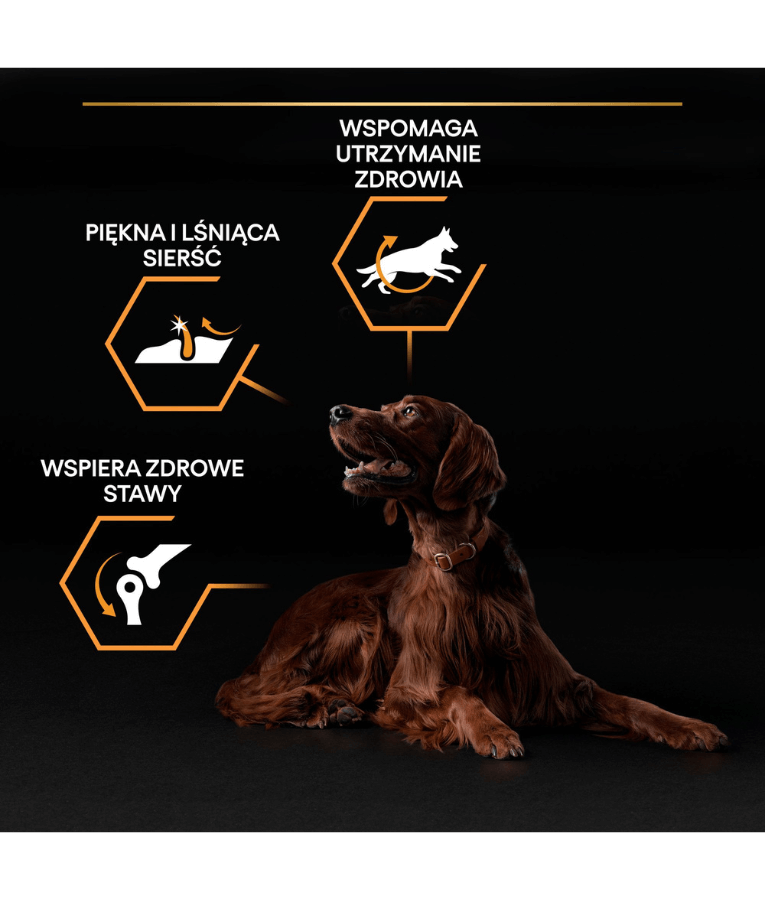 Purina - Pro Plan, Everyday Nutrition Large Athletic Adult Dry Dog food with Chicken 14 kg