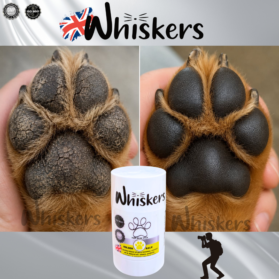 Whiskers Paw Balm Honey for Dogs & Cats