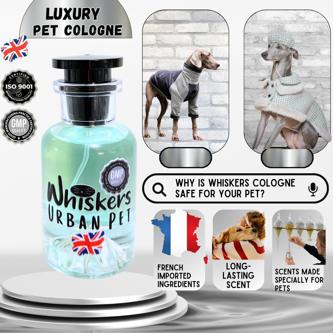 Whiskers Luxury Pet Cologne – Urban Pet for Dogs & Cats