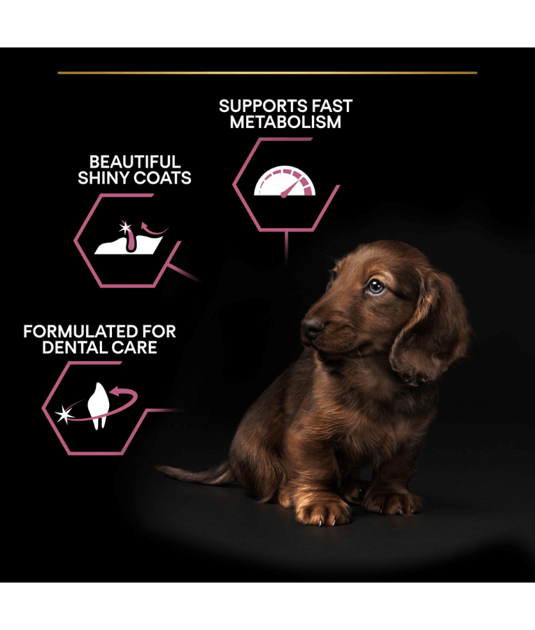 Purina - Pro Plan, Small and Mini Puppy Sensitive Skin Dry Dog food with Salmon 3 kg