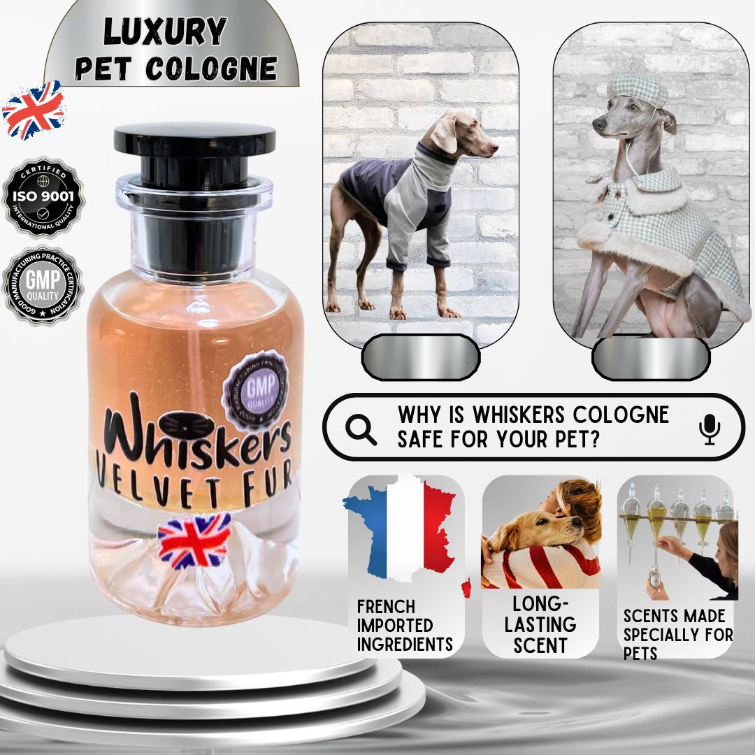 Whiskers Luxury Pet Cologne – Velvet Furr for Dogs & Cats