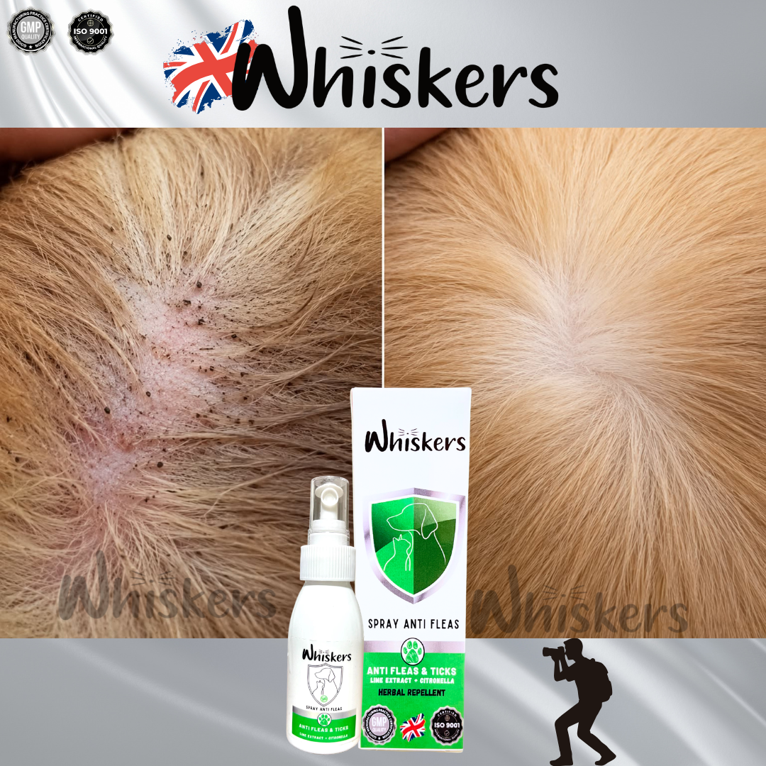 Whiskers Herbal Anti Fleas Spray for Dogs & Cats