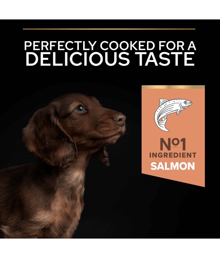 Purina - Pro Plan, Small and Mini Puppy Sensitive Skin Dry Dog food with Salmon 3 kg