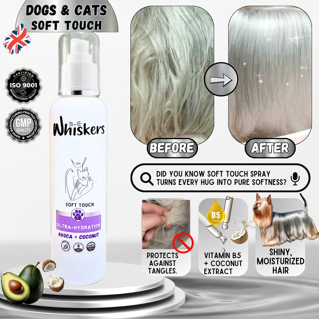 Whiskers Soft Touch Spray – Avoca &amp; Coconut for Dogs &amp; Cats for Dogs & Cats