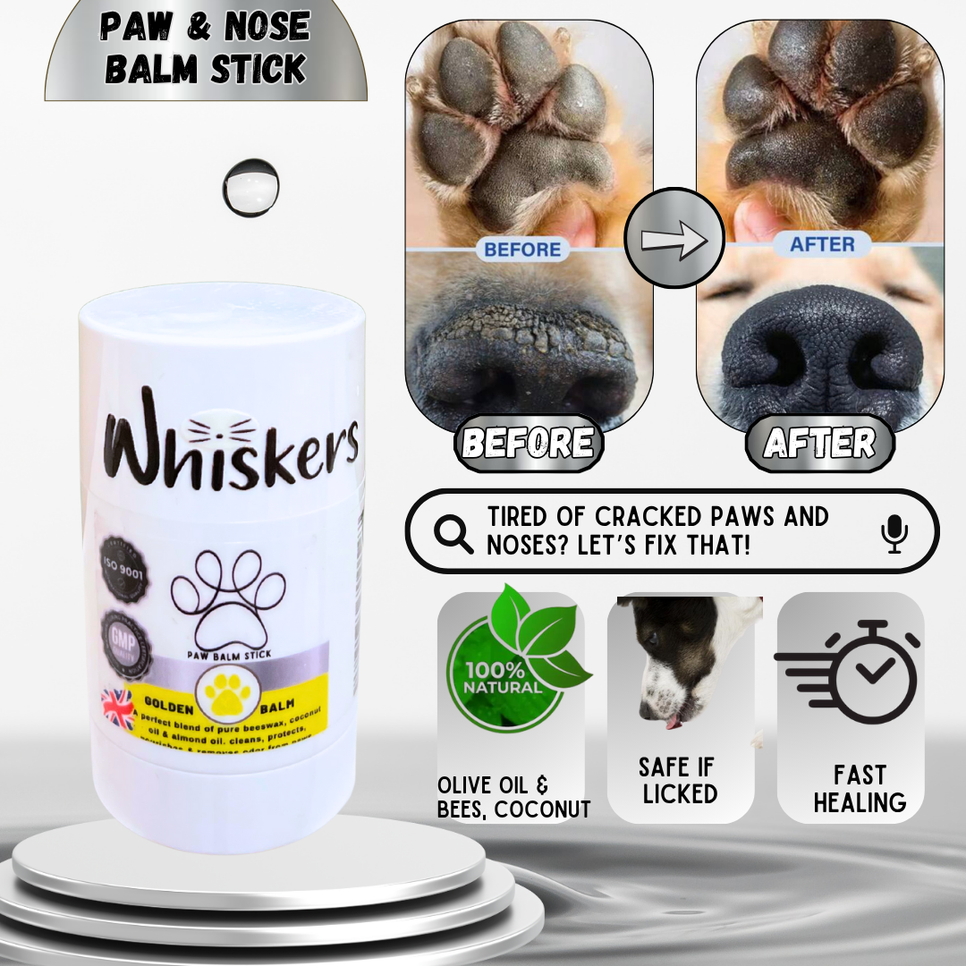 Whiskers Paw Balm Honey for Dogs & Cats