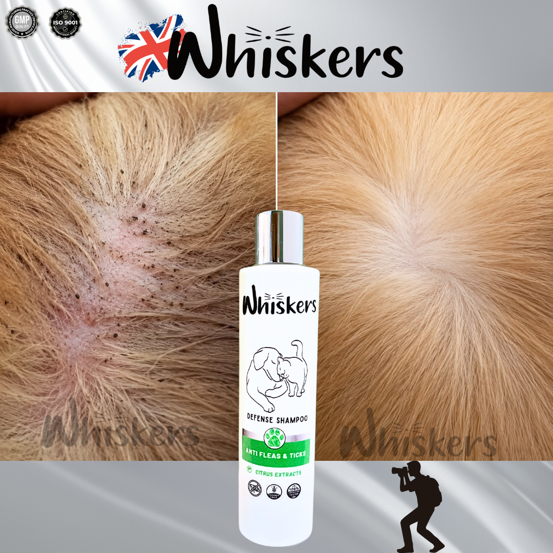 Whiskers Anti Fleas & Ticks Shampoo for Dogs & Cats
