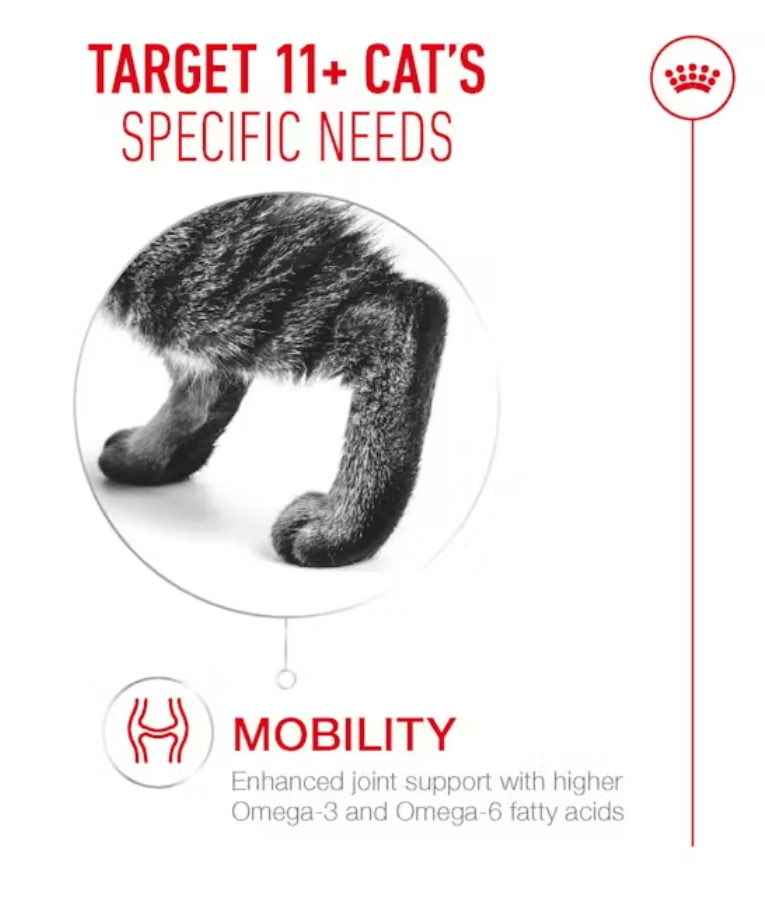 Royal Canin - Cat Ageing 11+ - 2kg