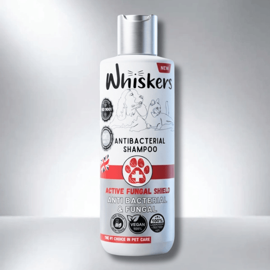Whiskers Pet Shampoo – Fungal Care Formula for Dogs & Cats 450 ML