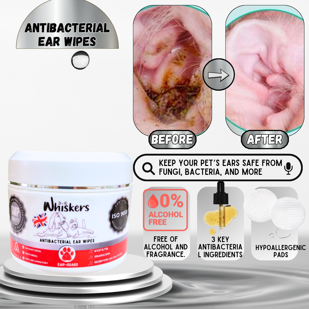 Whiskers Anti-Bacterial Ear Wipes for Dogs & Cats