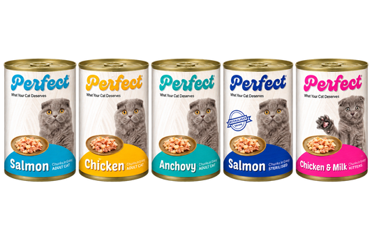 Perfect Chunks in Gravy Canned Cat Food