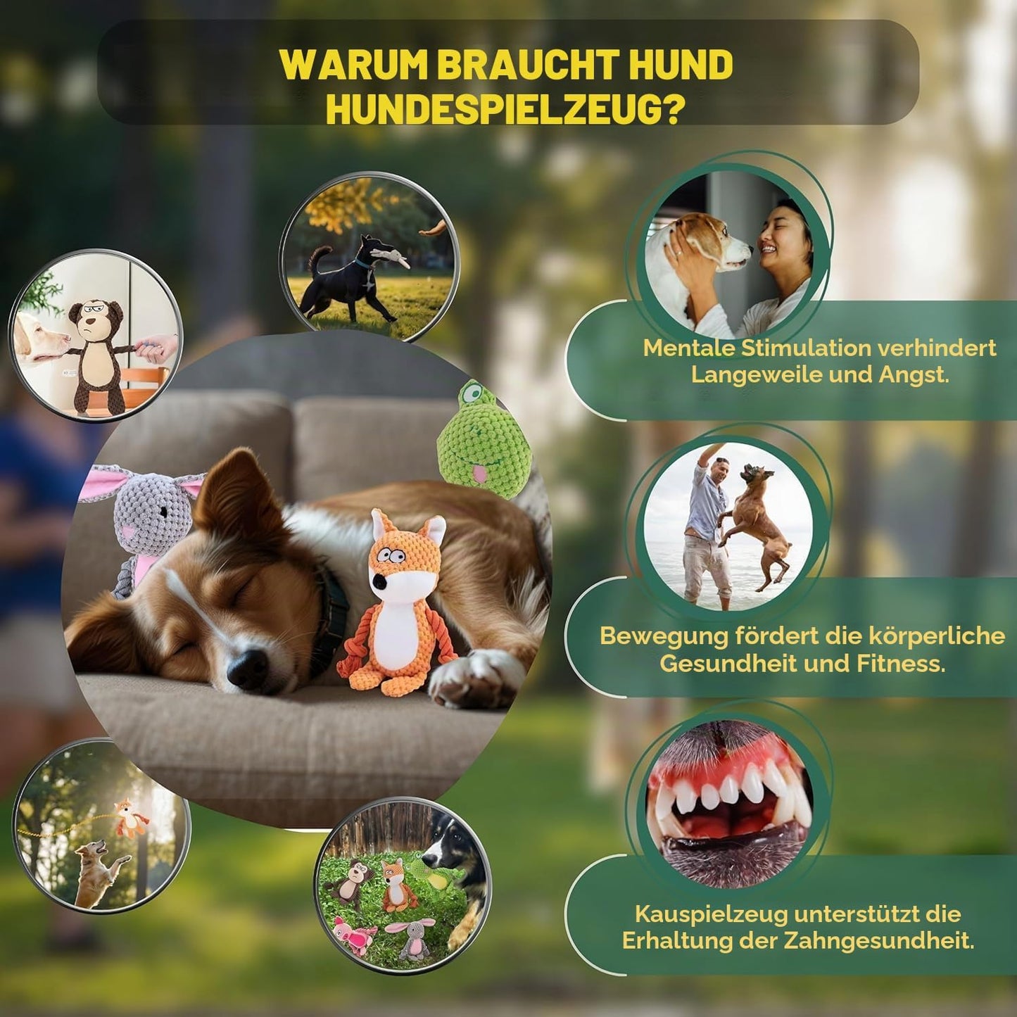Sunshine smile Dog Toy