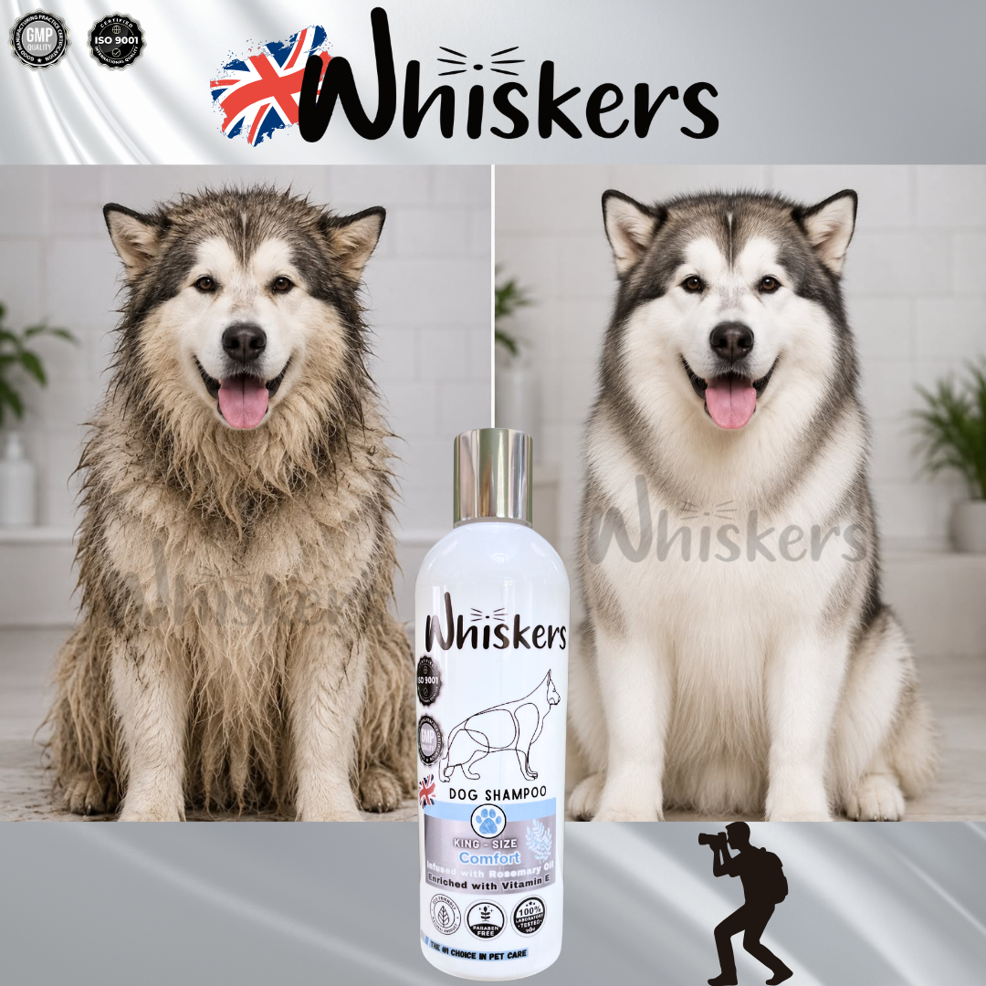 Whiskers King Size Pet Shampoo – Comfort for Dogs & Cats