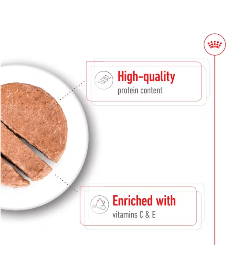 Royal Canin - Medium Breed Adult Loaf - Wet Food for Dogs 410g