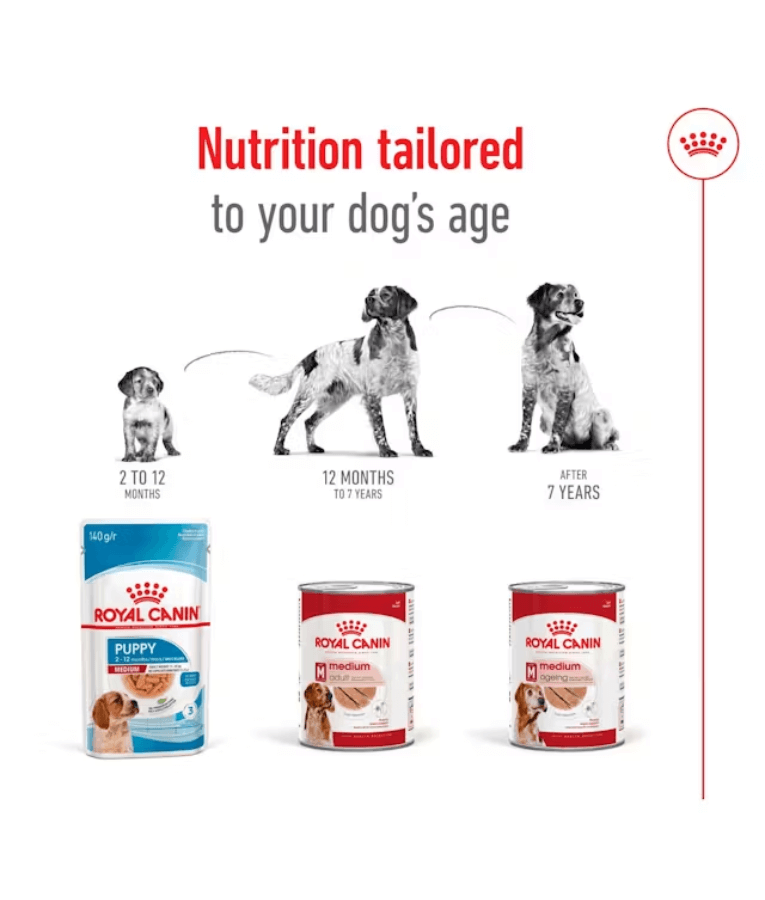 Royal Canin - Medium Breed Adult Loaf - Wet Food for Dogs 410g