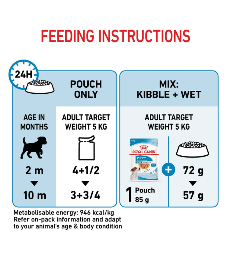 Royal Canin - Mini Puppy Wet Dog Food in Gravy, Immune & Digestive Support, Small Breed Puppy - 85g