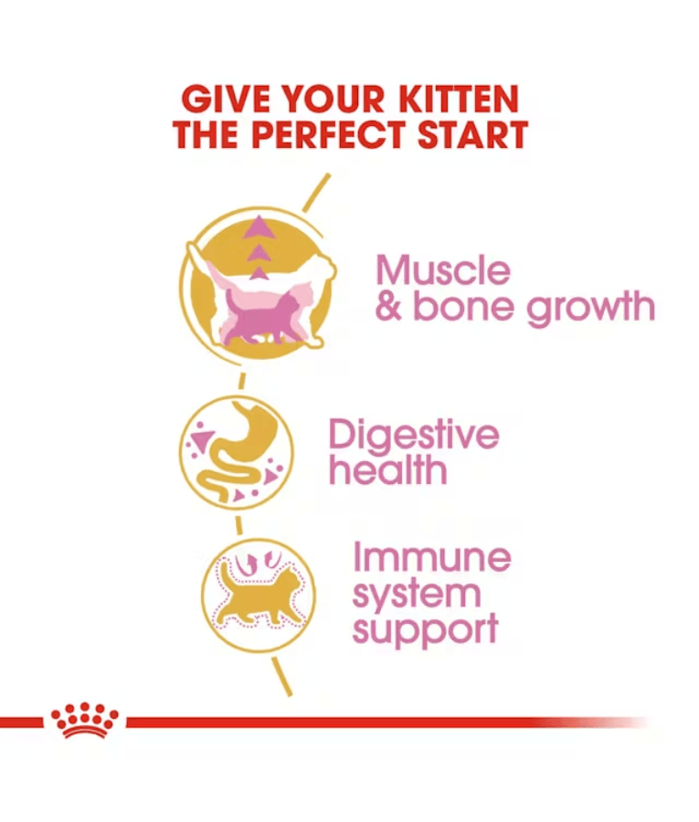 Royal Canin - British Shorthair Kitten - 2 kg