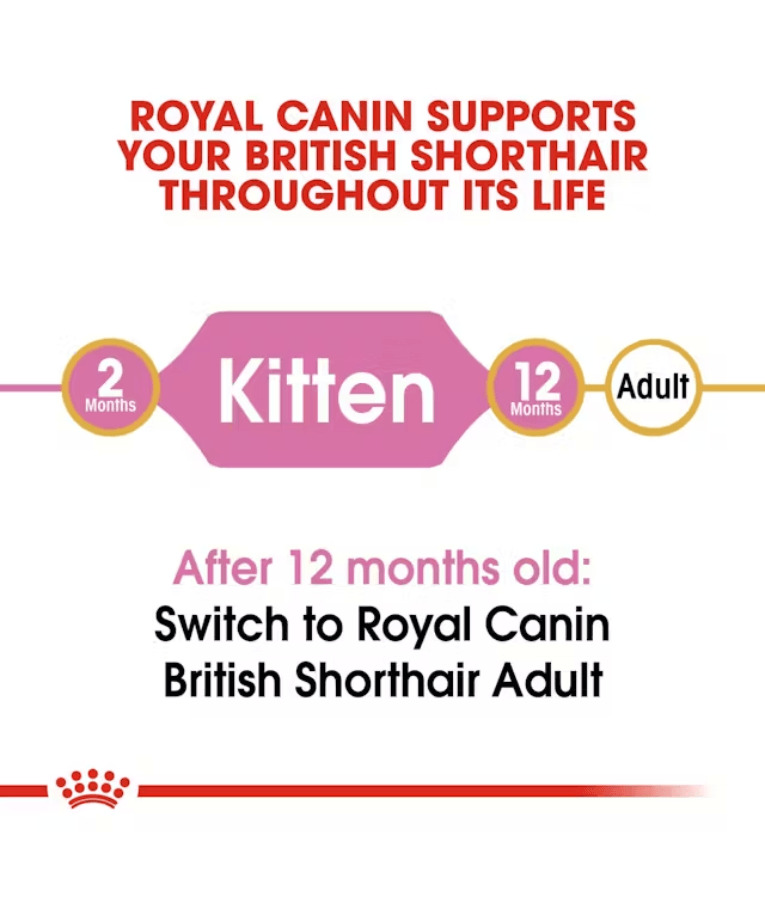 Royal Canin - British Shorthair Kitten - 2 kg