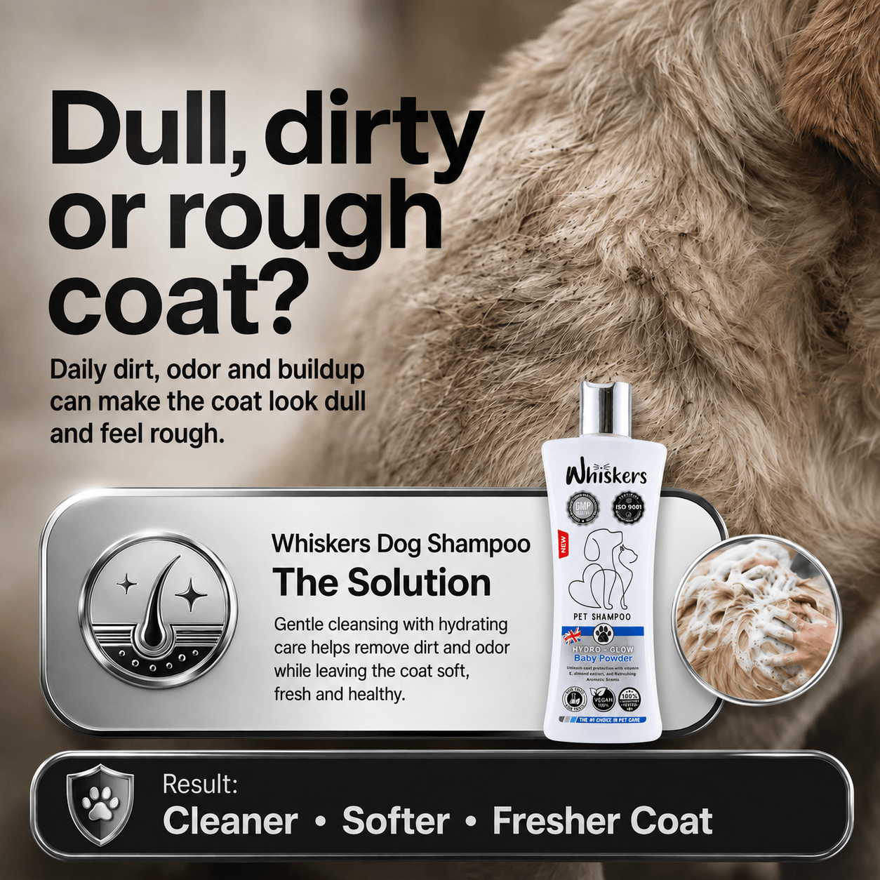 Whiskers Pet Shampoo – Baby Powder for Dogs & Cats