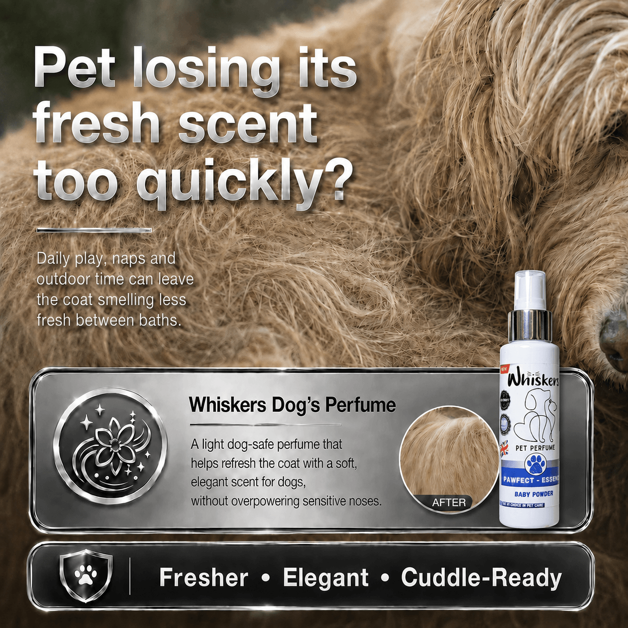 Whiskers Pet Perfume –Baby Powder for Dogs & Cats