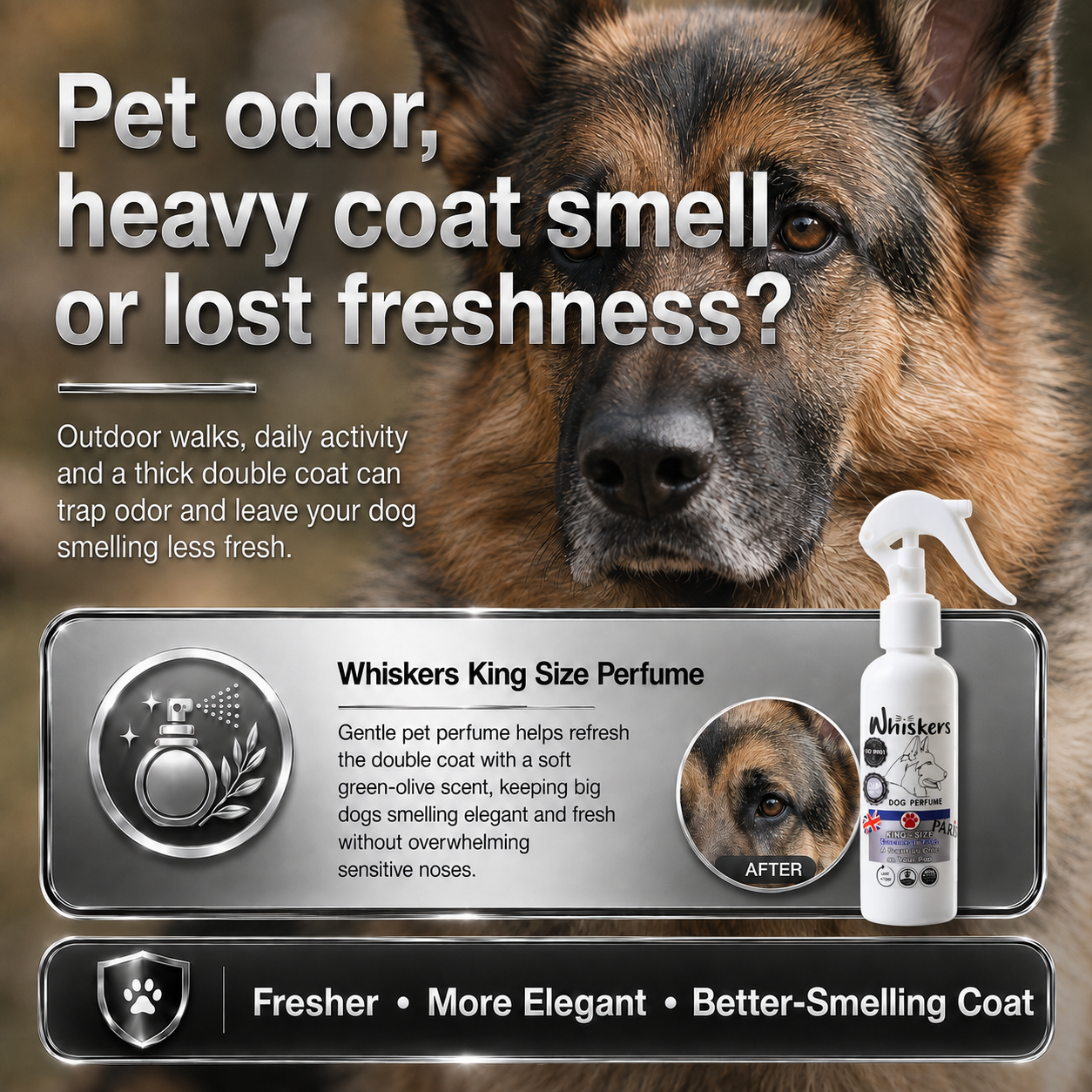 Whiskers King Size Perfume – Paris Scent for Dogs & Cats