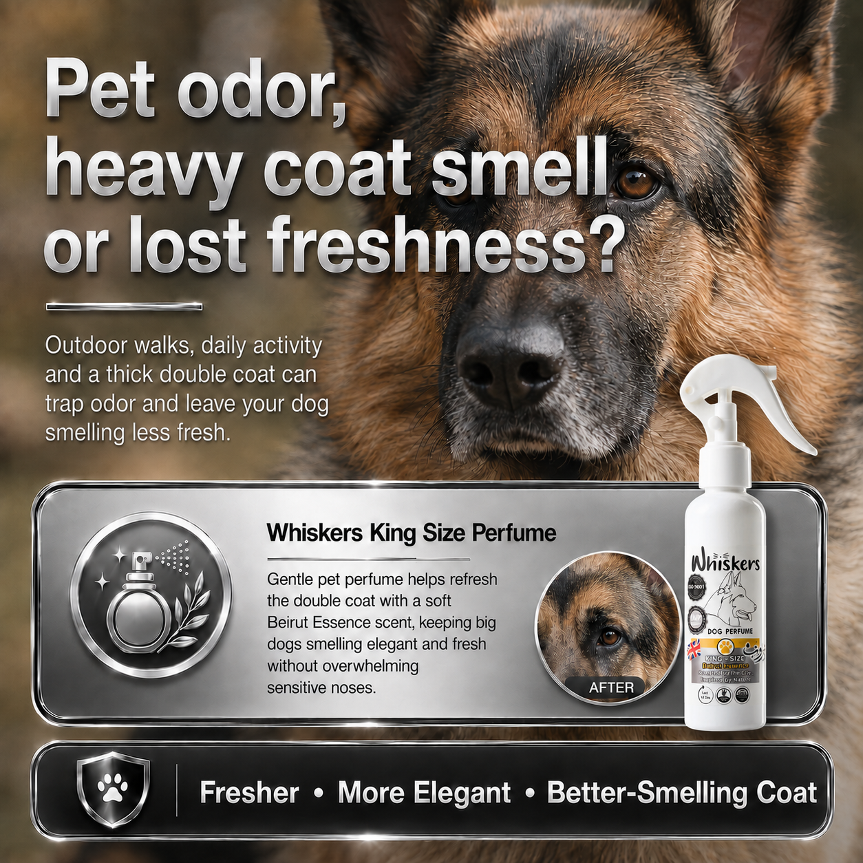 Whiskers King Size Perfume – Beirut Scent for Dogs & Cats