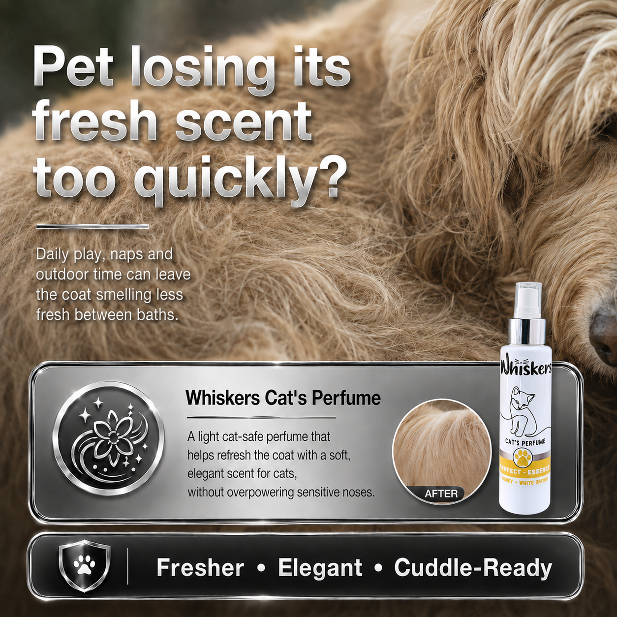 Whiskers Pet Perfume – Honey & White Orchid for Dogs & Cats