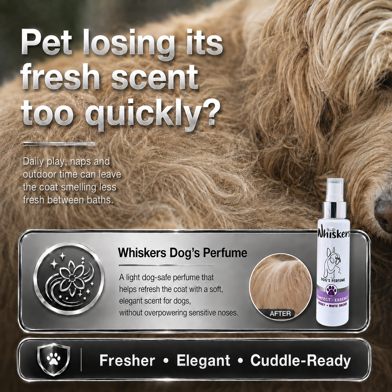 Whiskers Pet Perfume – Fig + White Orchid for Dogs & Cats