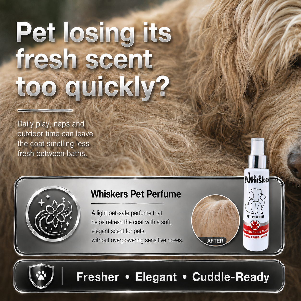 Whiskers Pet Perfume – Mango Panna Cota for Dogs & Cats