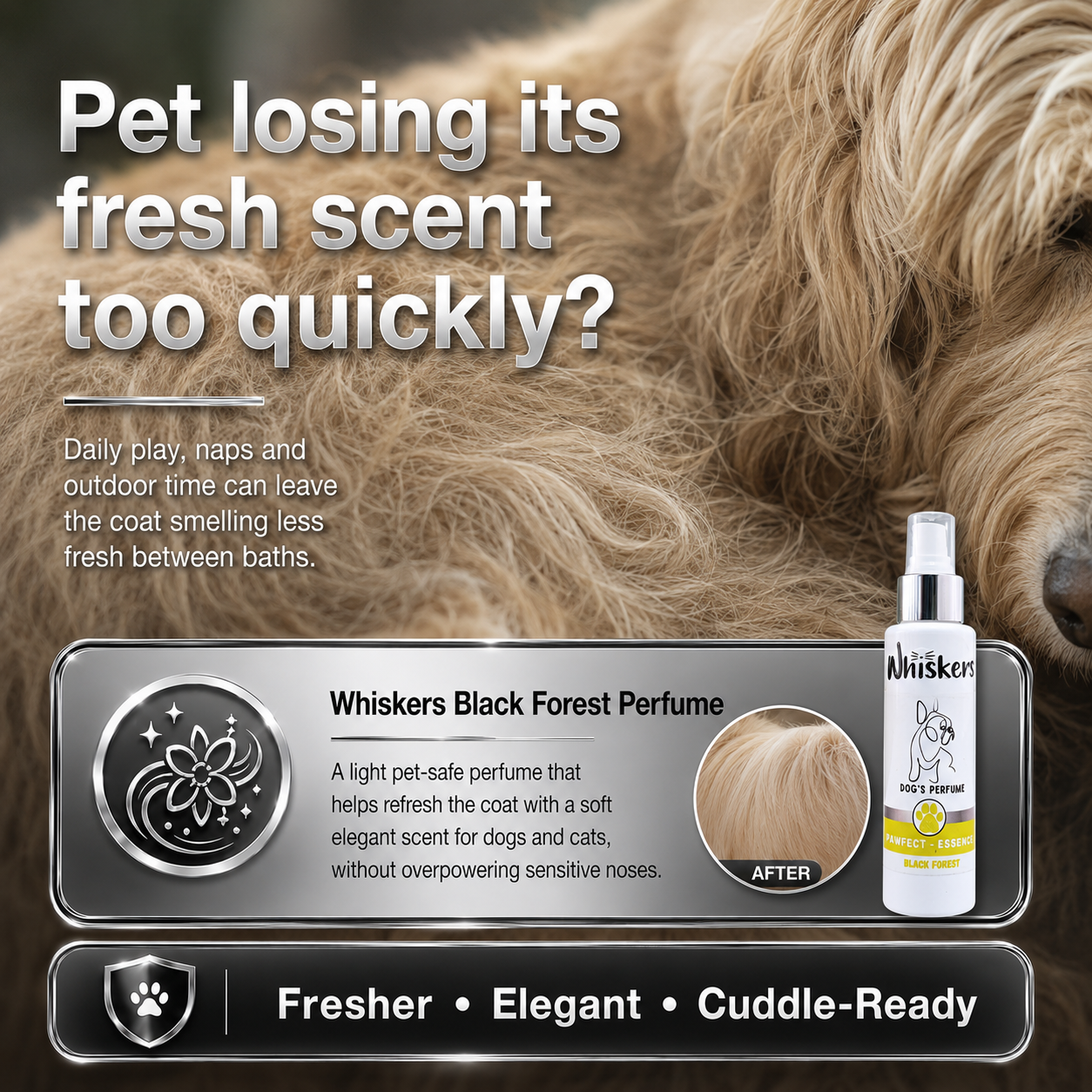 Whiskers Pet Perfume – Black Forest for Dogs & Cats