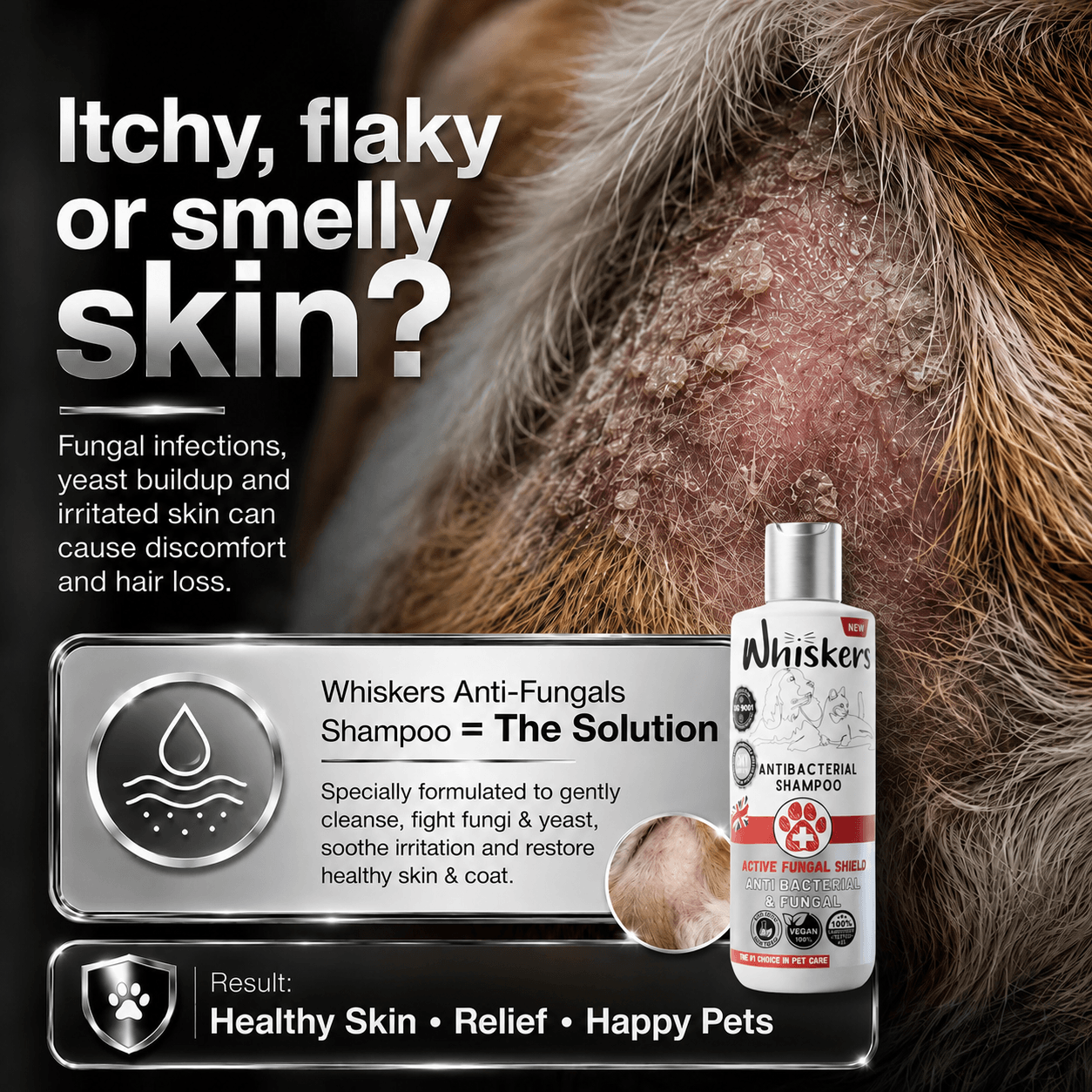 Whiskers Pet Shampoo – Fungal Care Formula for Dogs & Cats 450 ML