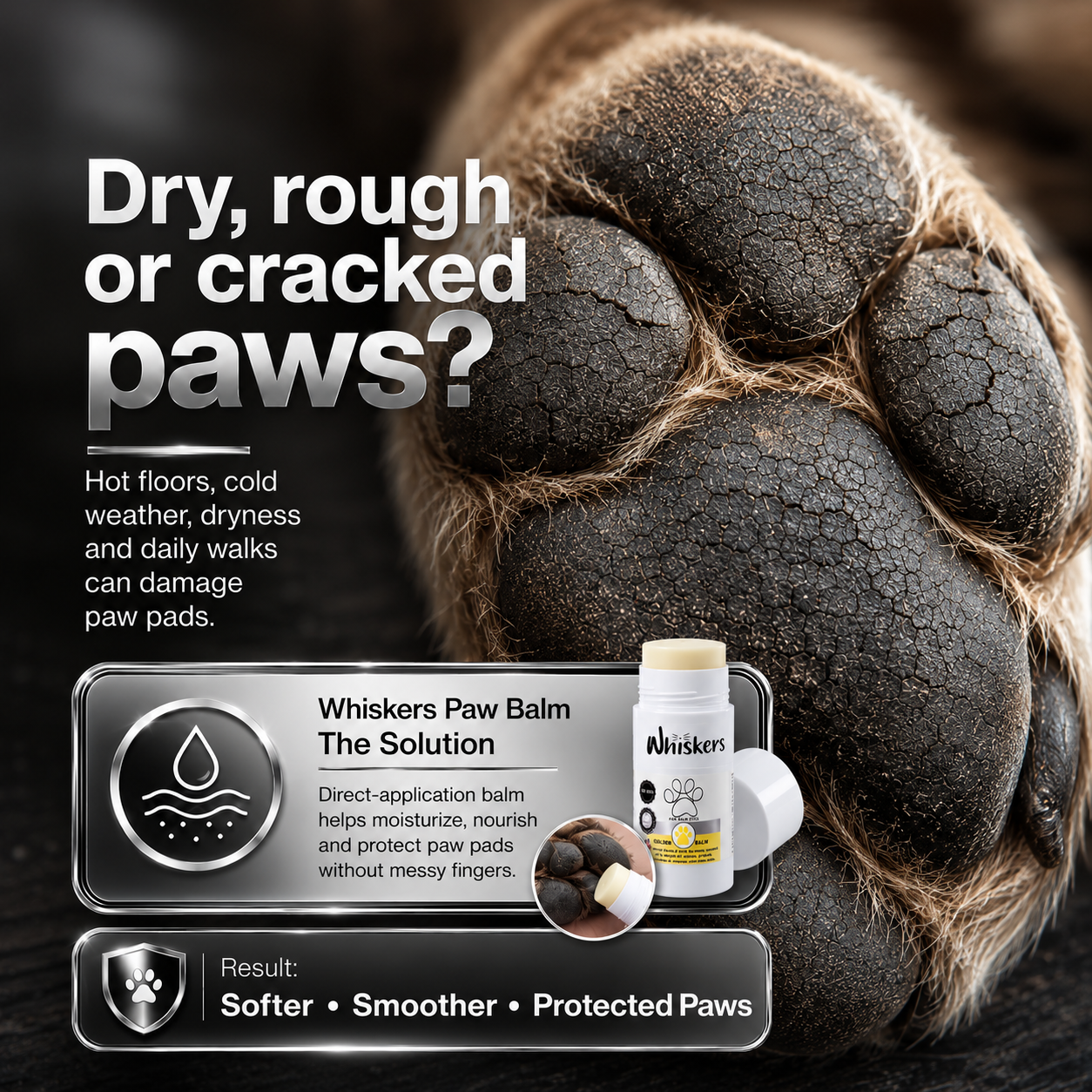 Whiskers Paw Balm Honey for Dogs & Cats