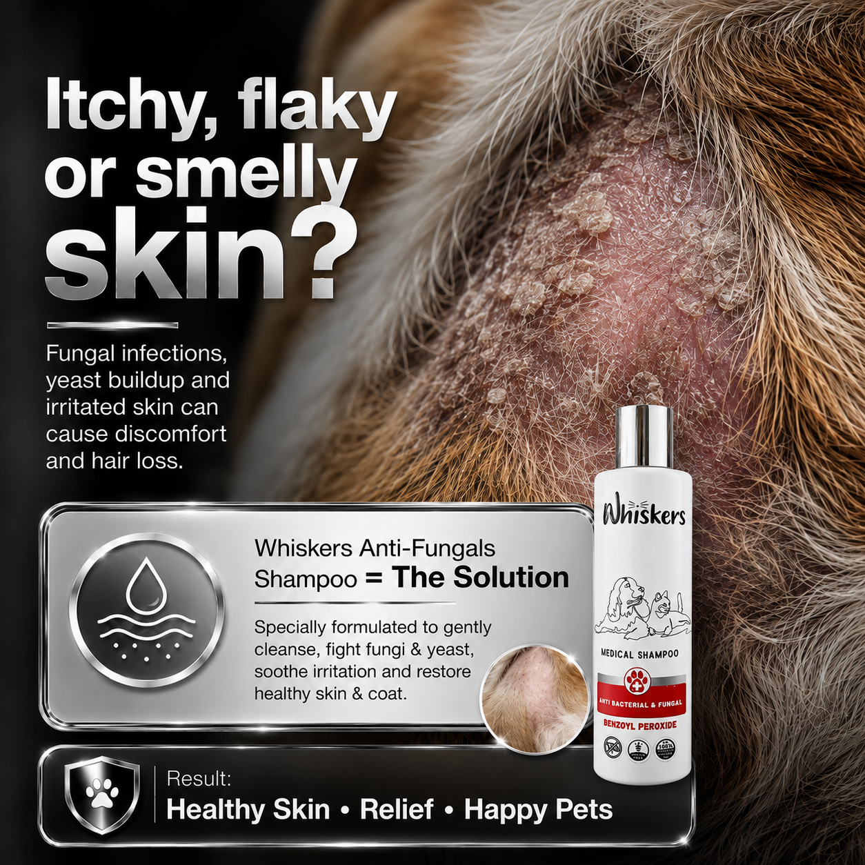 Whiskers Pet Shampoo – Fungal Care Formula for Dogs & Cats