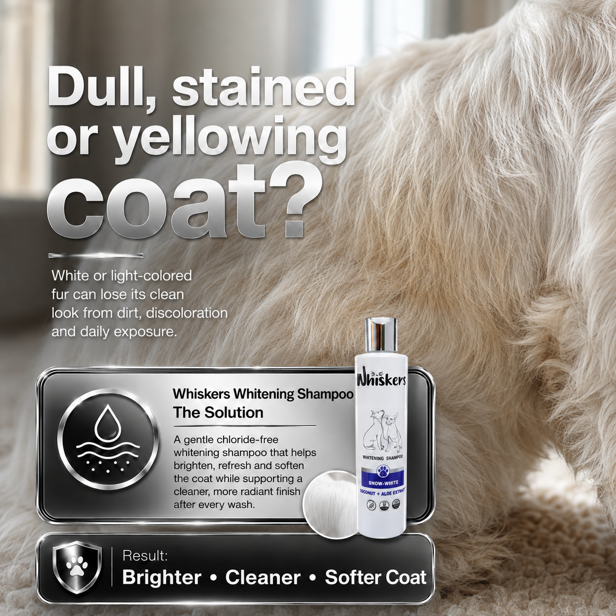 Whiskers Whitening Shampoo for Dogs & Cats