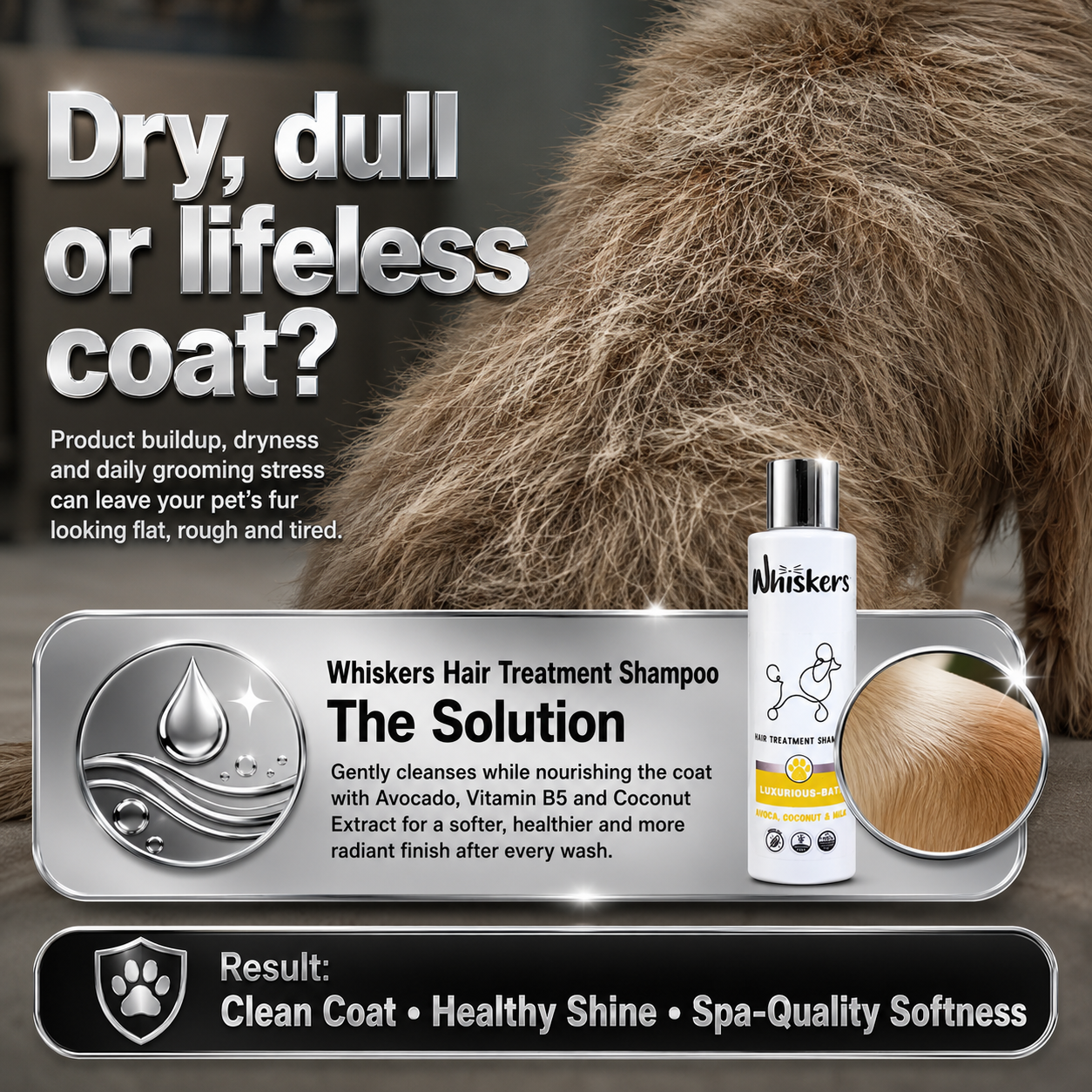 Whiskers Hair Treatment Shampoo for Dogs & Cats